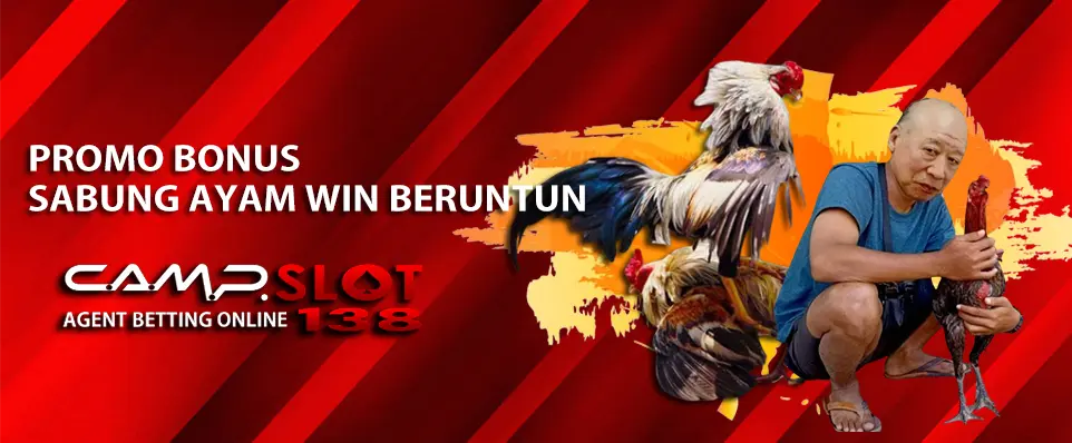 PROMO BONUS SABUNG AYAM WIN BERUNTUN - CAMPSLOT138